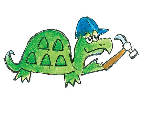 characters-turtle